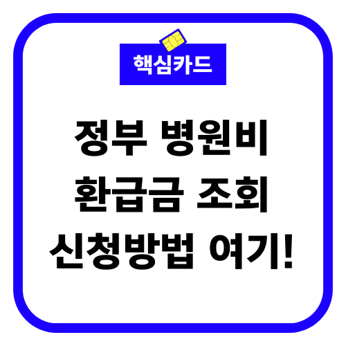 정부 병원비 환급금 조회 썸네일